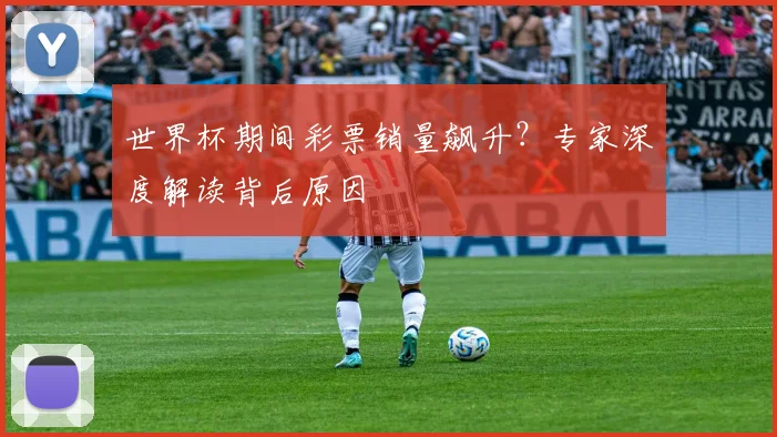 世界杯期间彩票销量飙升？专家深度解读背后原因