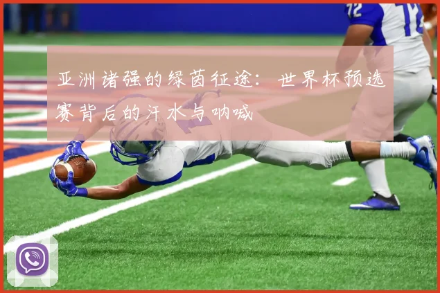 亚洲诸强的绿茵征途：世界杯预选赛背后的汗水与呐喊