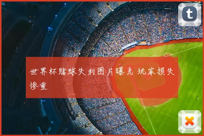世界杯赌球失利图片曝光 玩家损失惨重