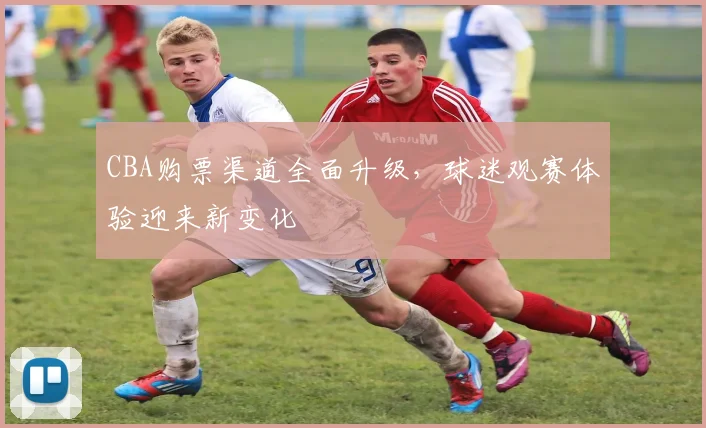 CBA购票渠道全面升级，球迷观赛体验迎来新变化