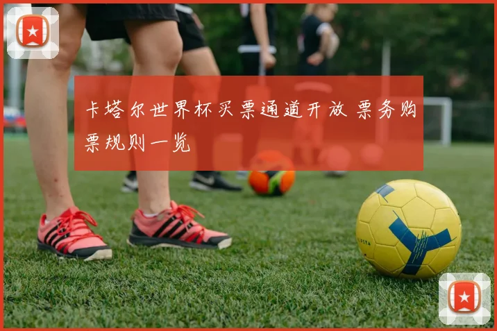 卡塔尔世界杯买票通道开放 票务购票规则一览