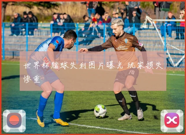 世界杯赌球失利图片曝光 玩家损失惨重