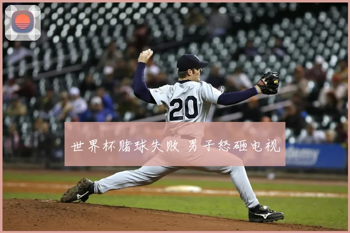 世界杯赌球失败 男子怒砸电视