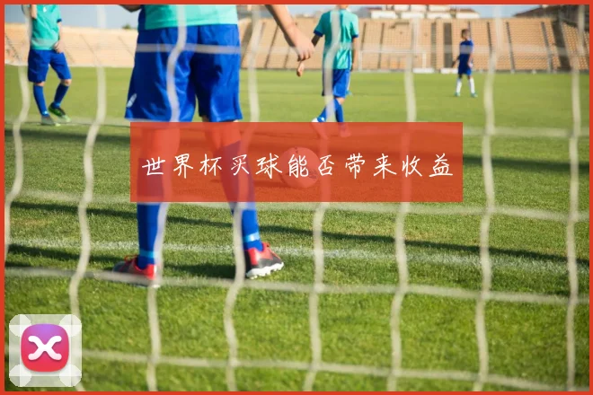 世界杯买球能否带来收益