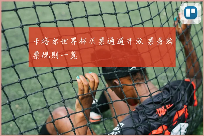 卡塔尔世界杯买票通道开放 票务购票规则一览