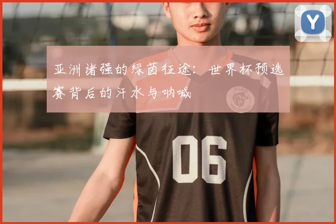 亚洲诸强的绿茵征途：世界杯预选赛背后的汗水与呐喊